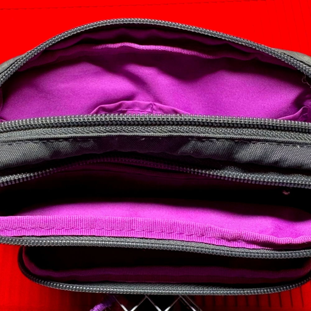 Baggallini Charcol/ Pink  3 Zippered Sections. Two Outside Zippers, 1 Interior